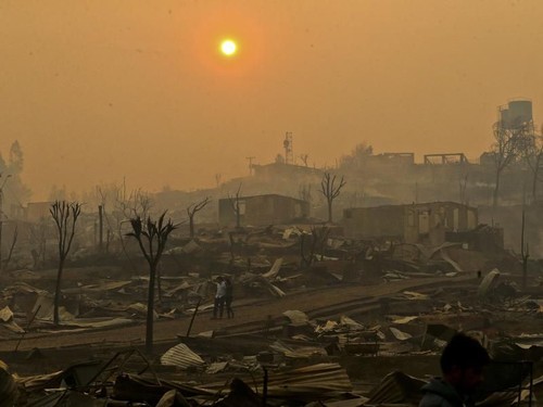 Le Chili ravagé par les pires feux de forêt de son histoire - ảnh 1